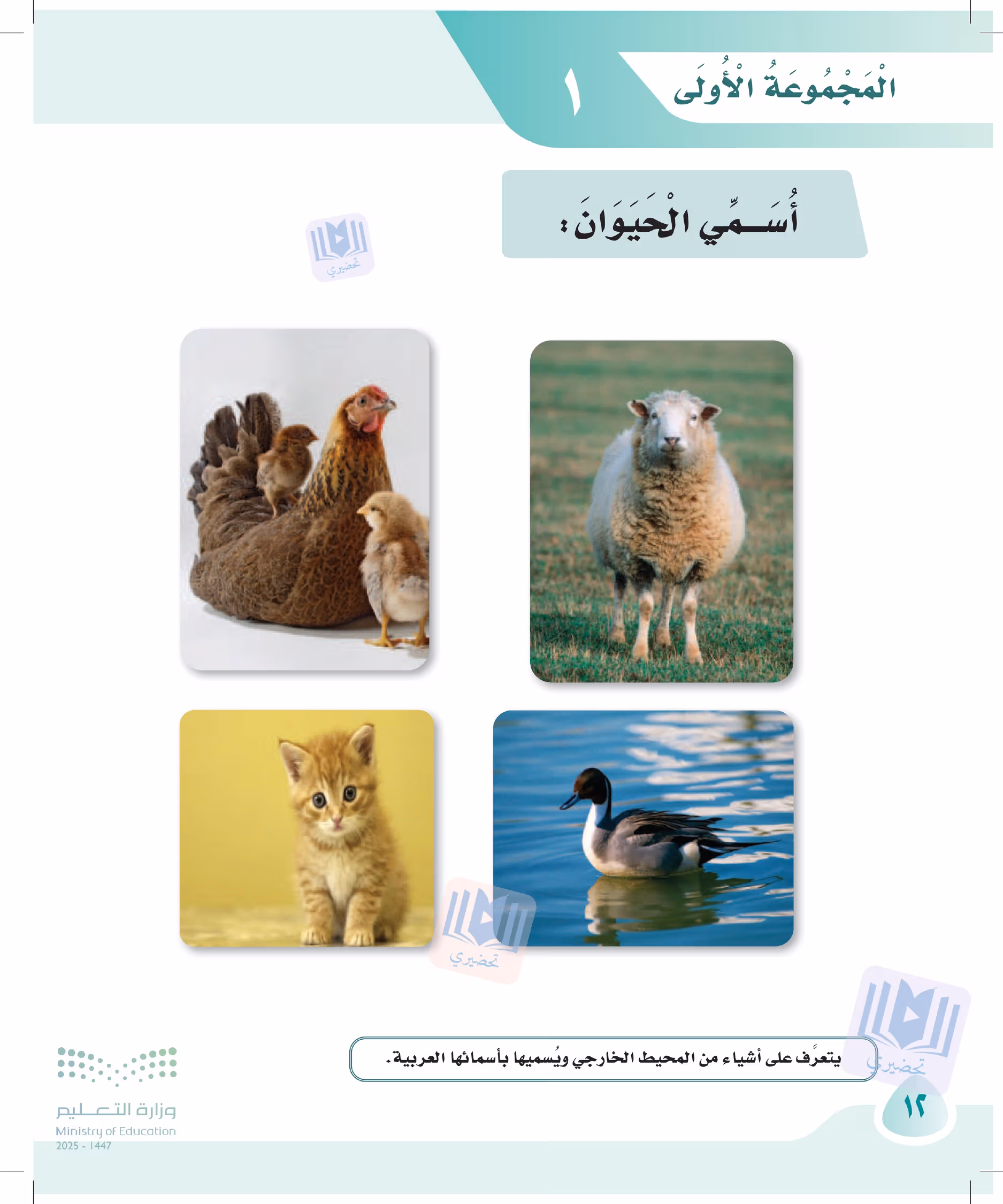 صفحة 12