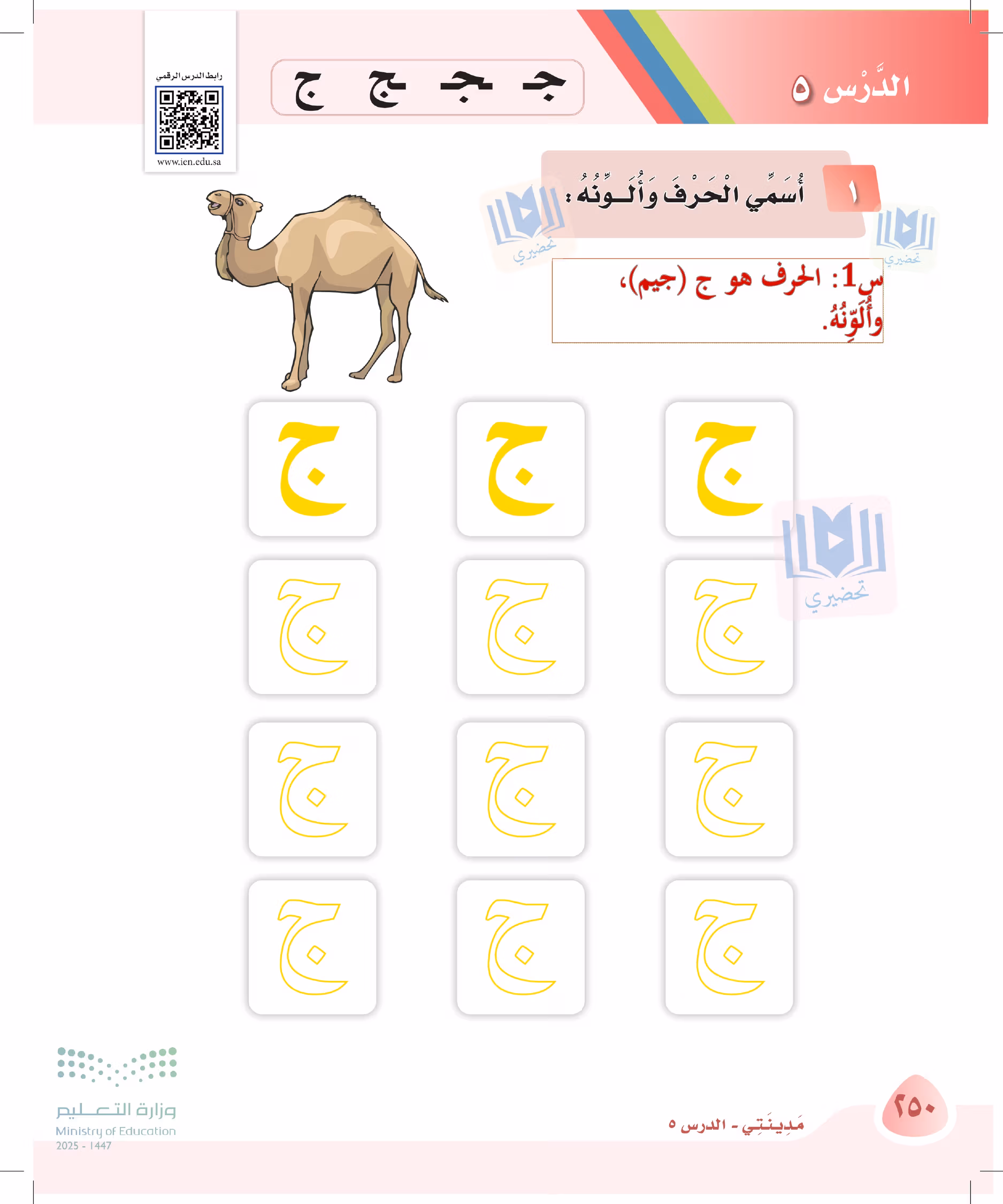 صفحة 250
