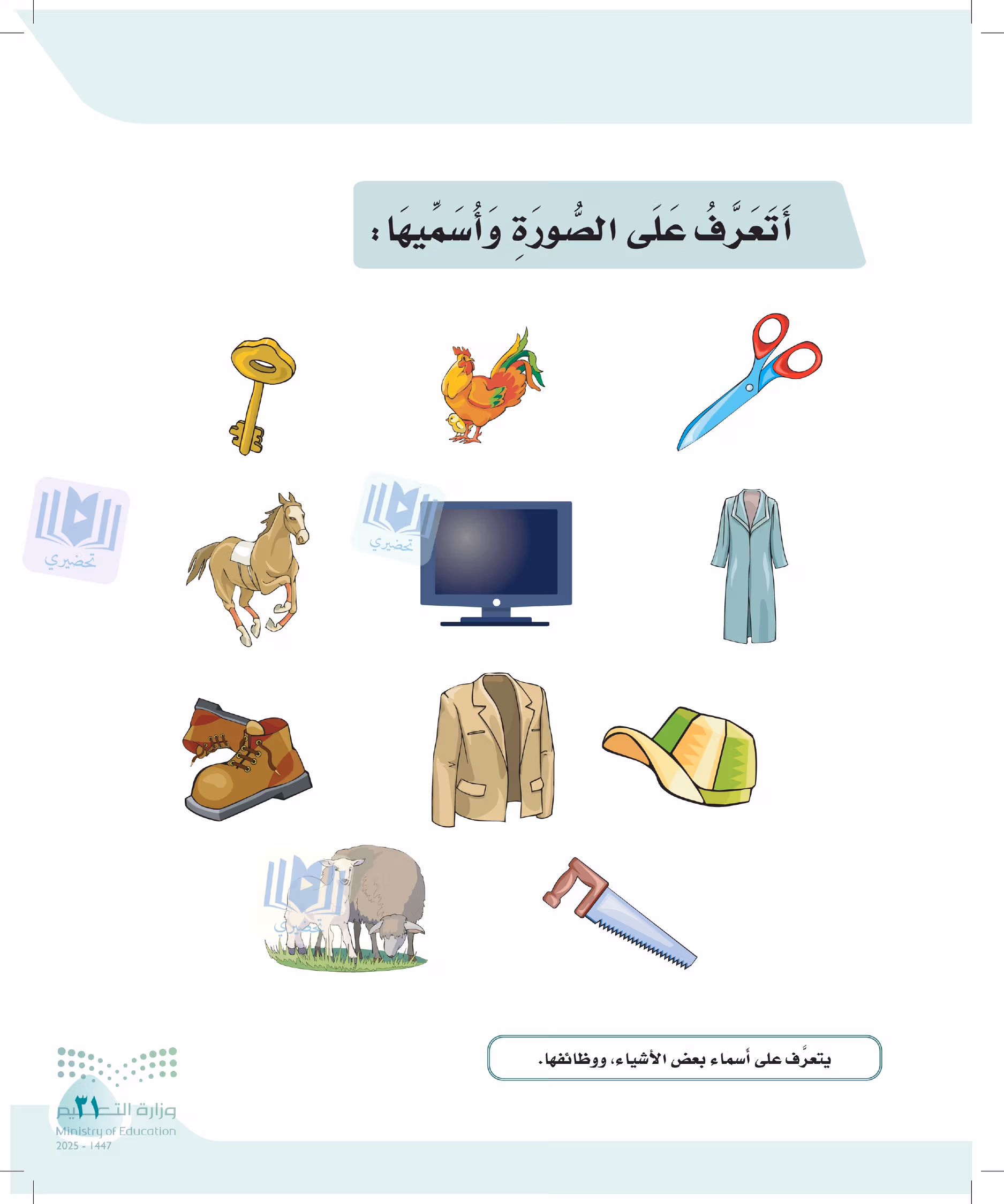 صفحة 31