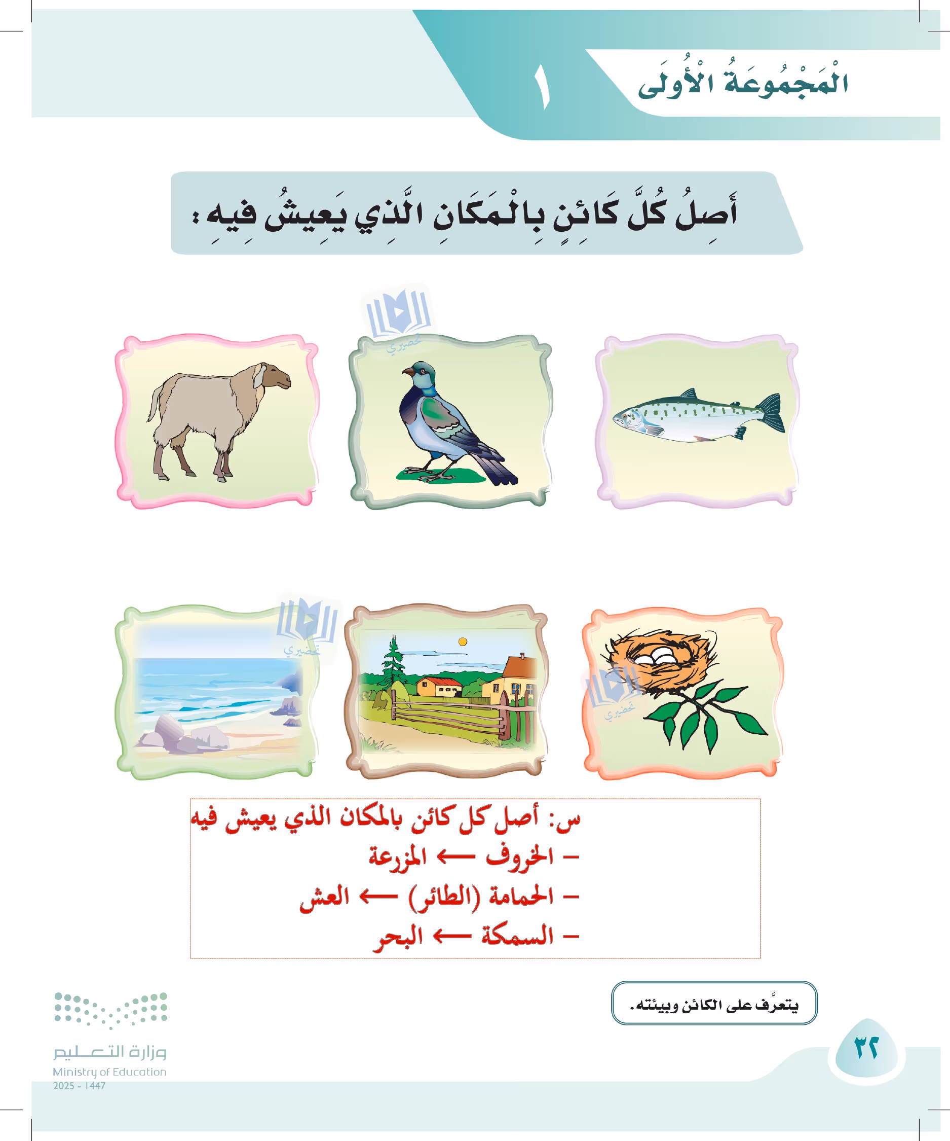 صفحة 32