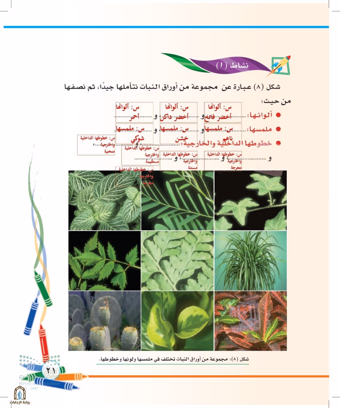 صفحة 21