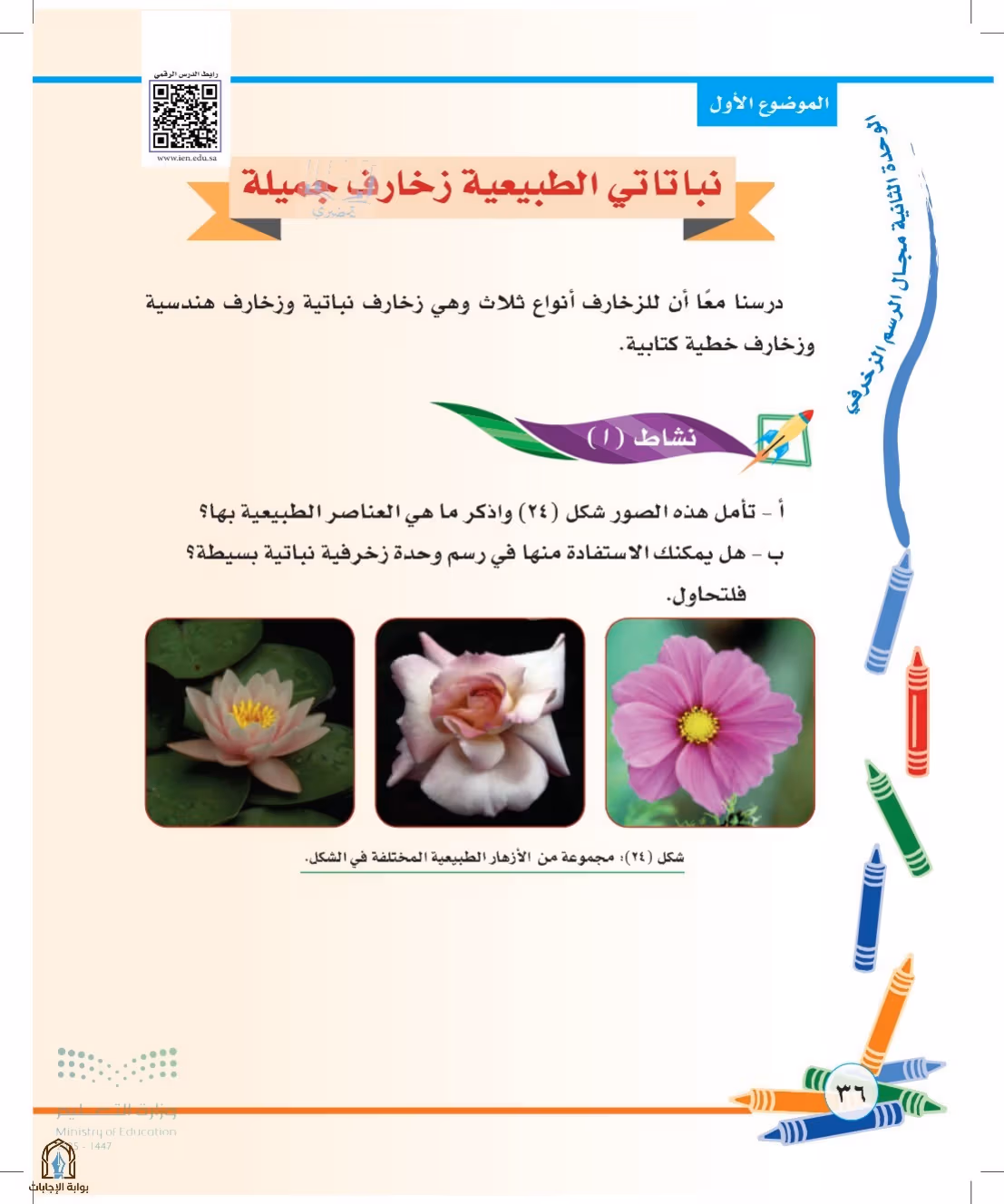 صفحة 36