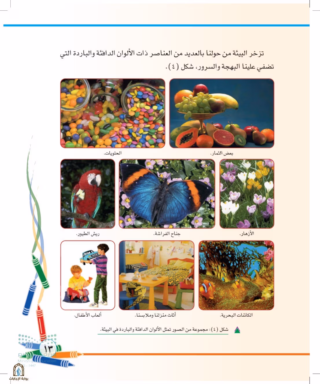 صفحة 13