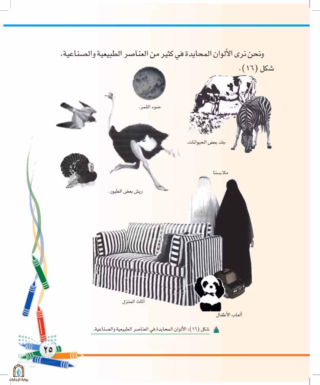 صفحة 25