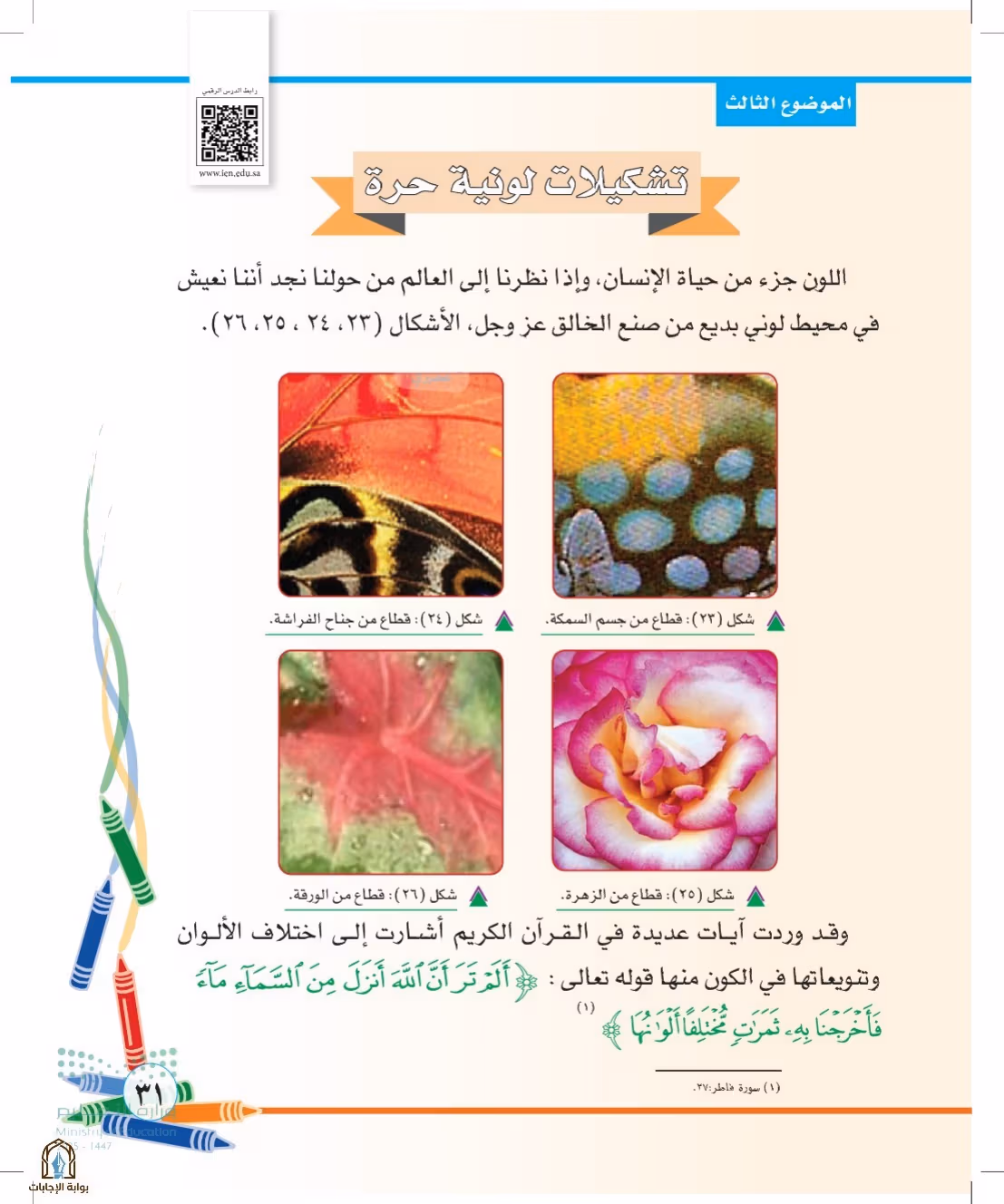 صفحة 31