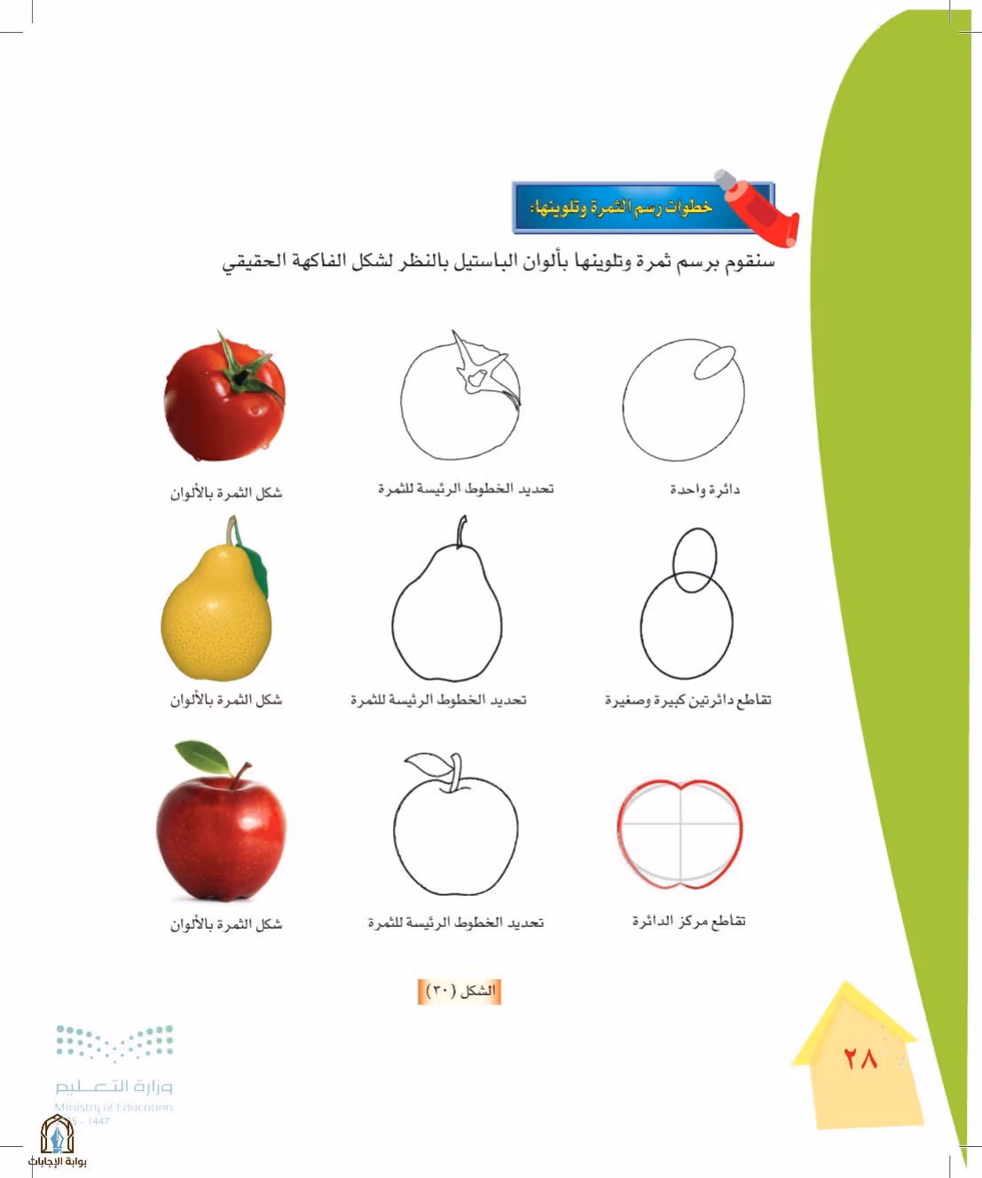 صفحة 28