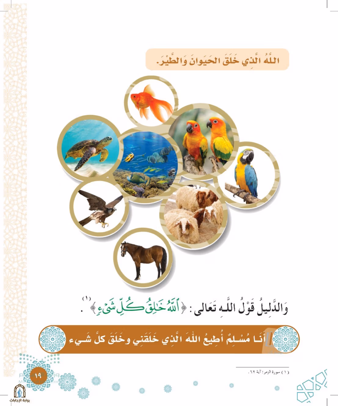 صفحة 19