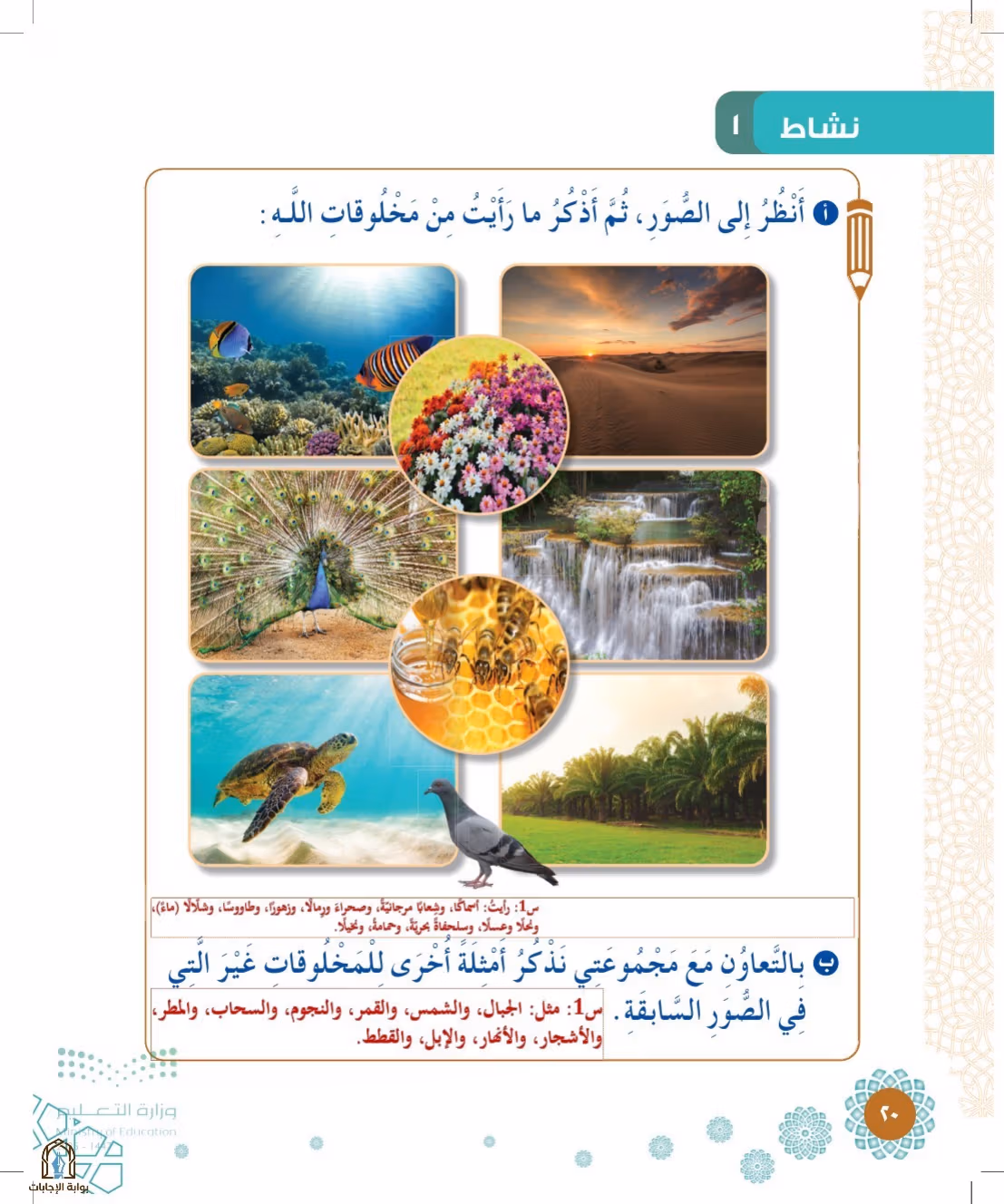 صفحة 20