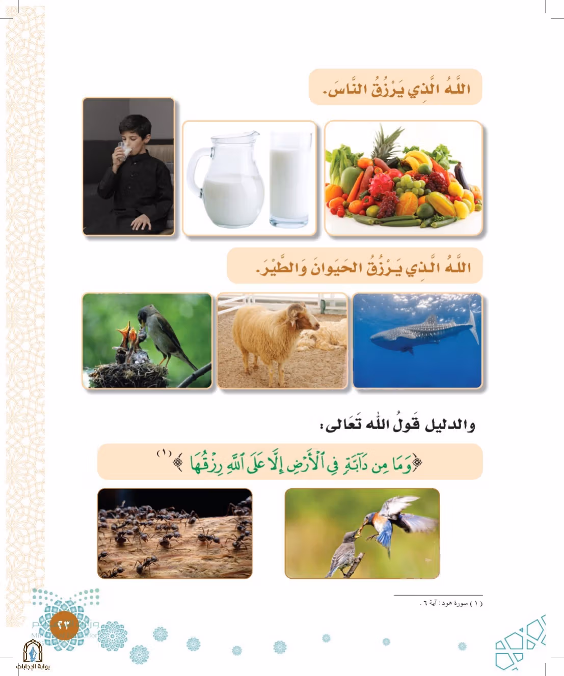 صفحة 23