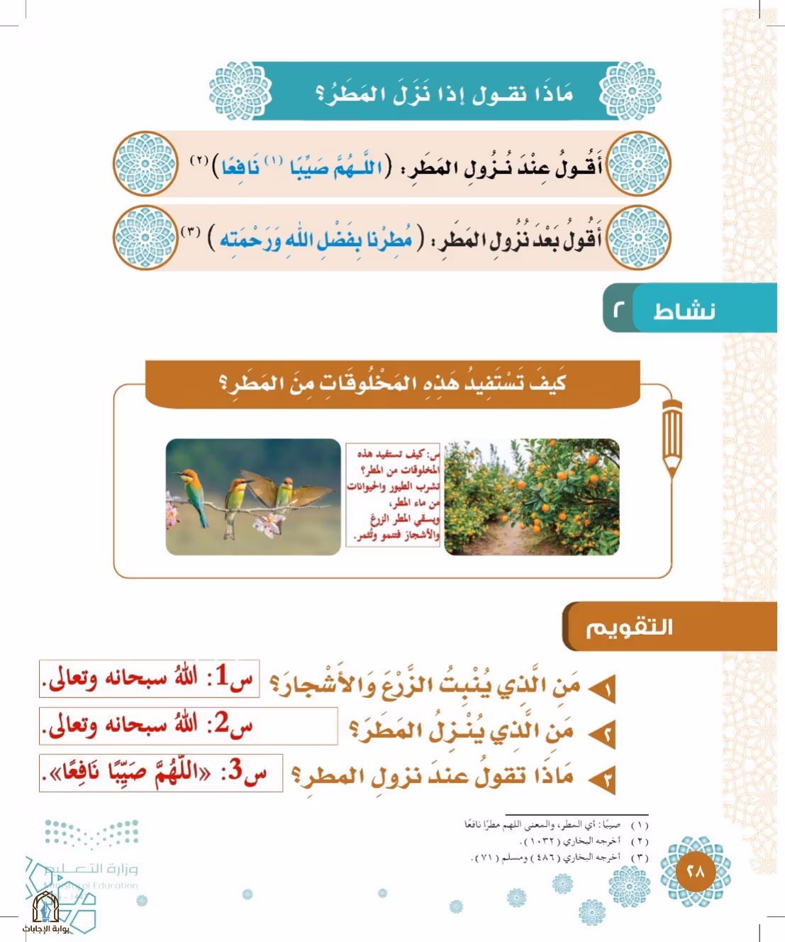 صفحة 28