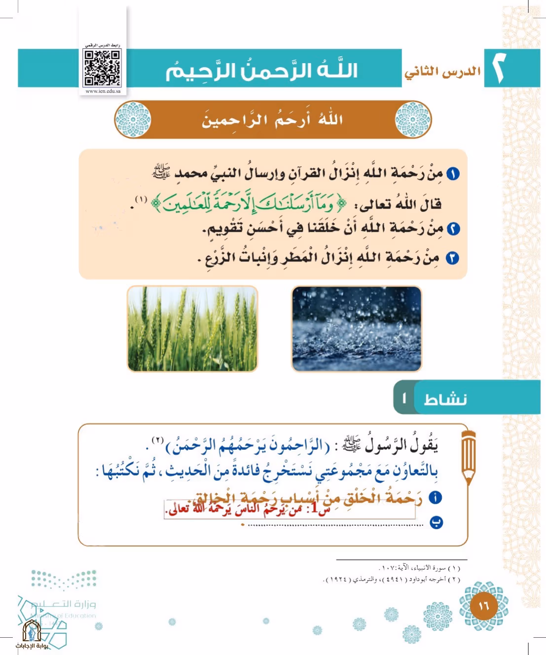 صفحة 16