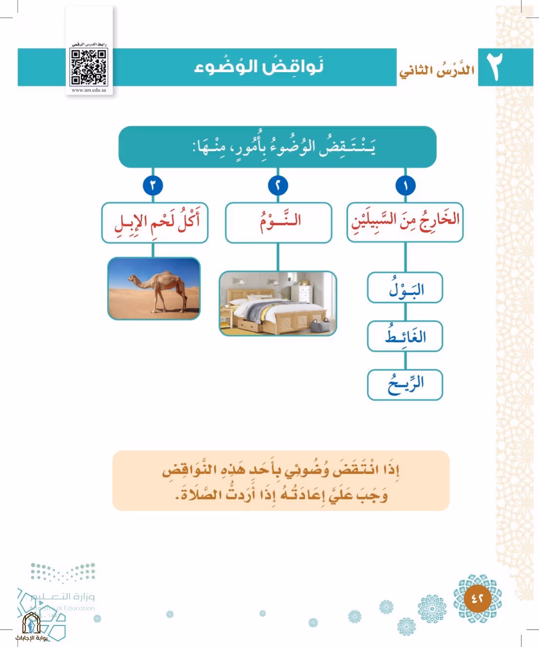 صفحة 42