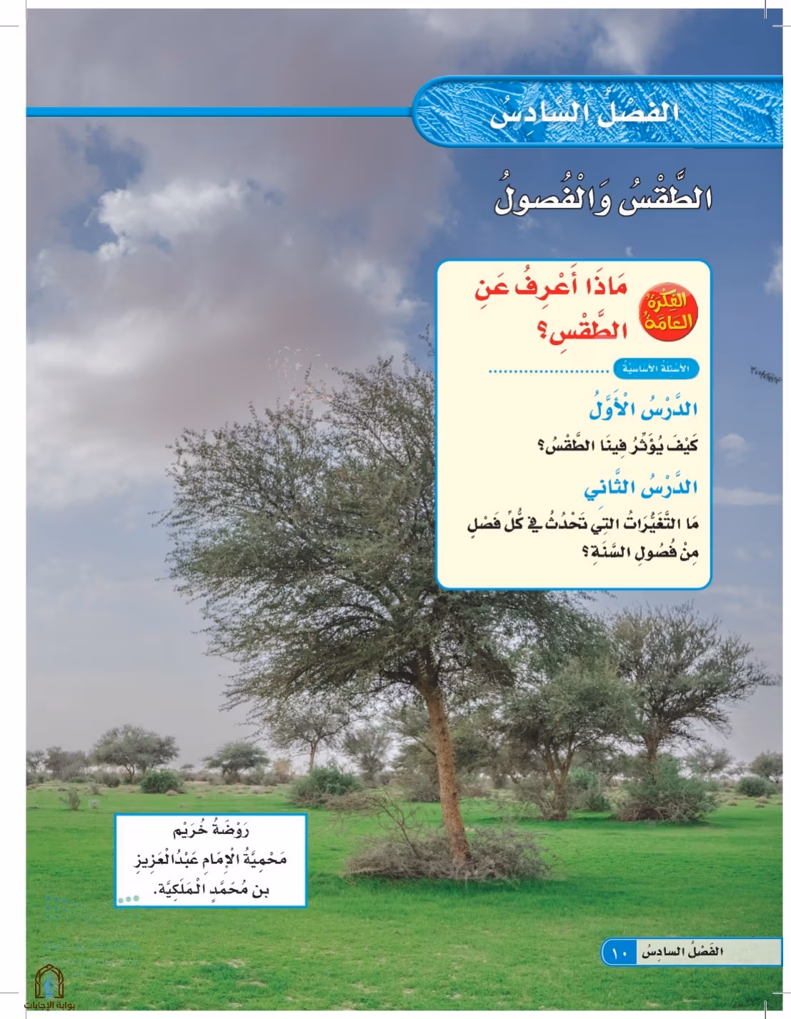 صفحة 10