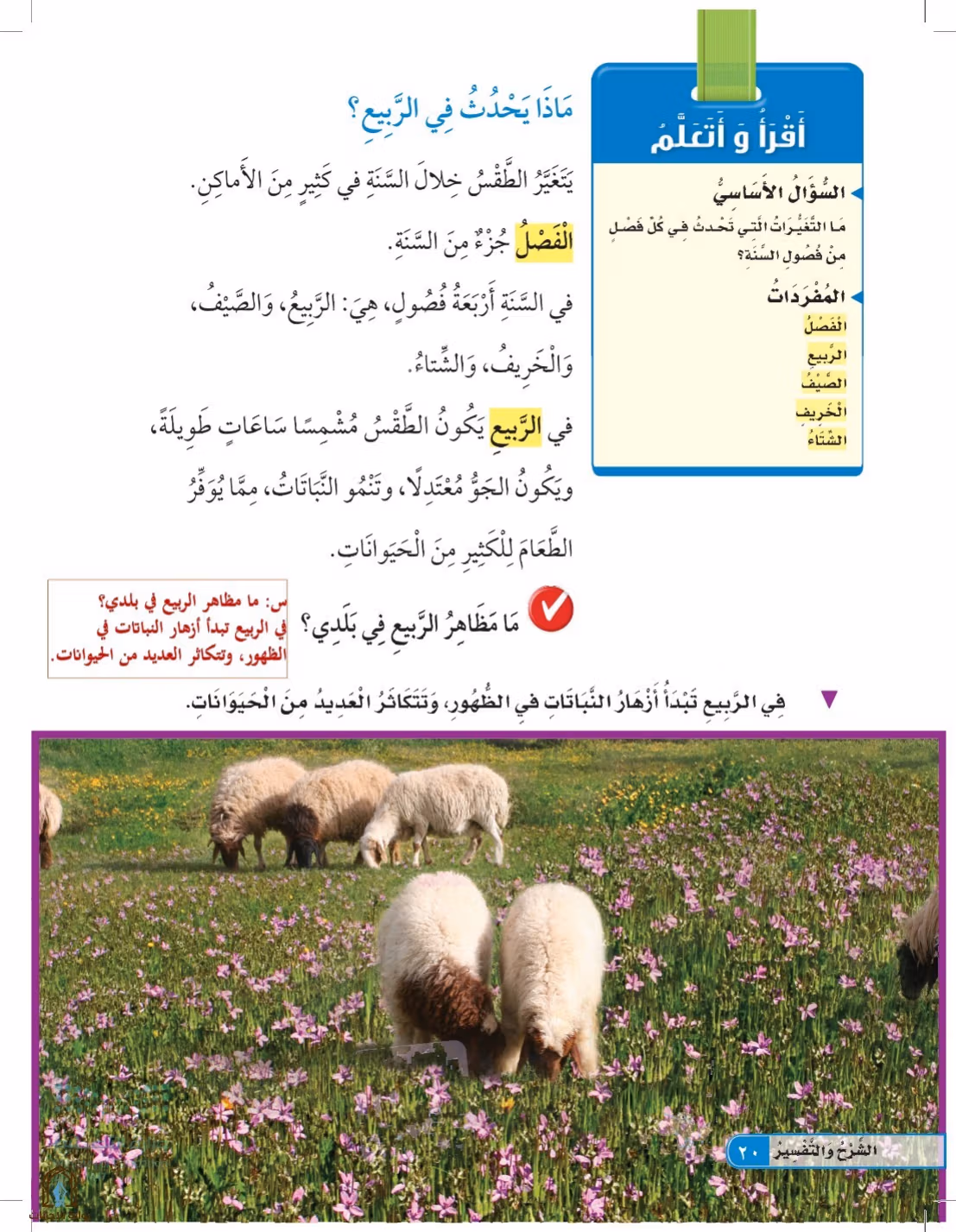 صفحة 20