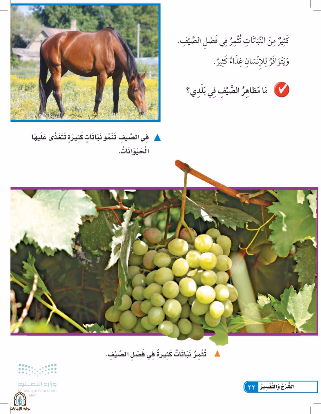 صفحة 22