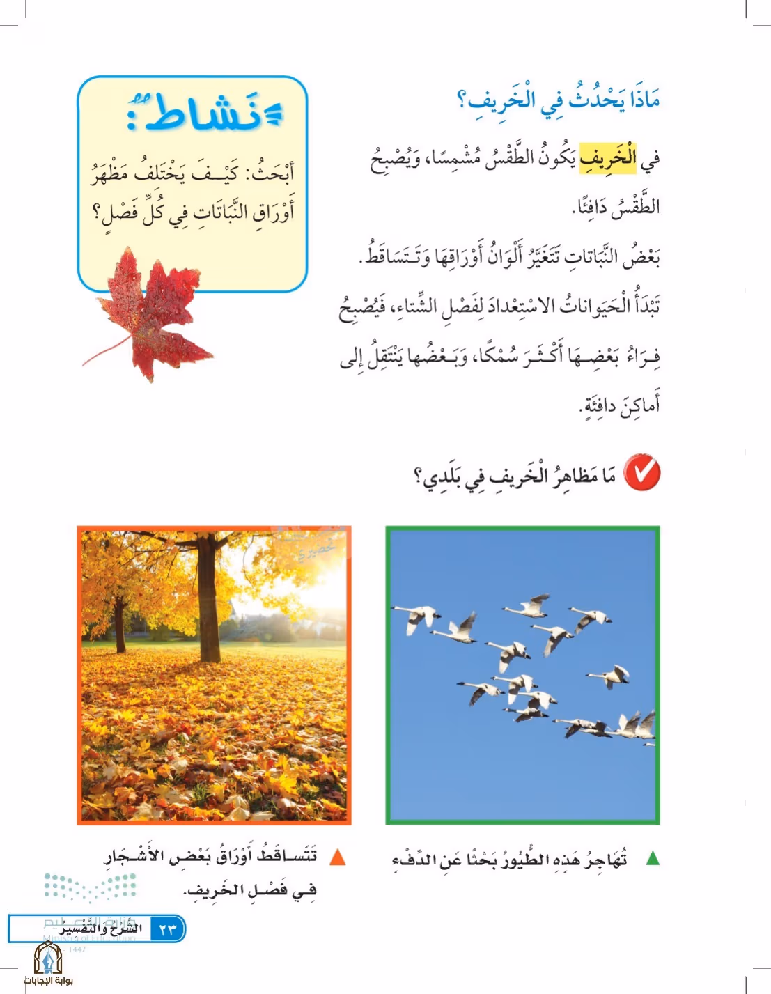 صفحة 23
