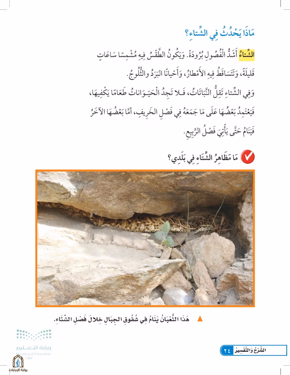 صفحة 24
