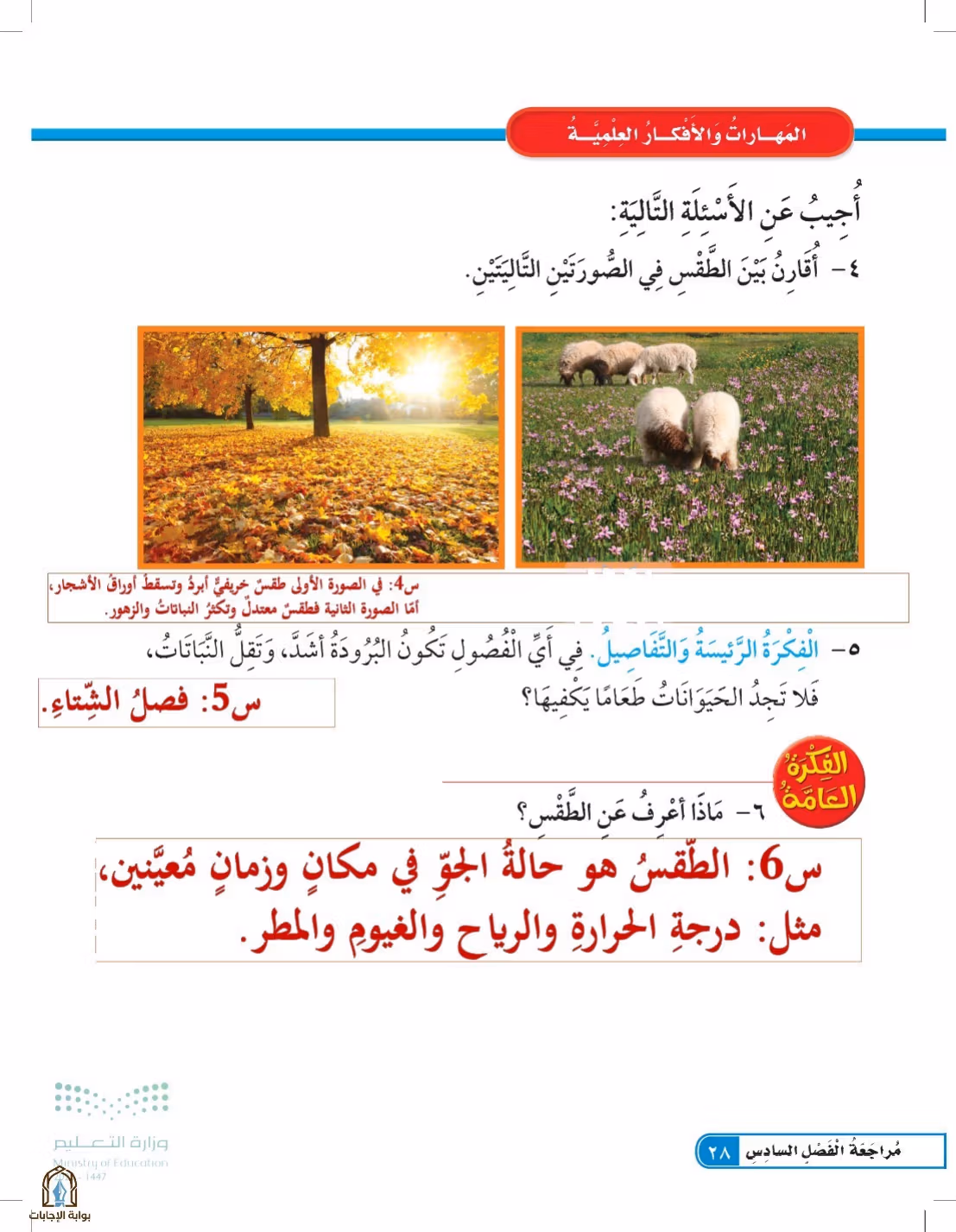 صفحة 28