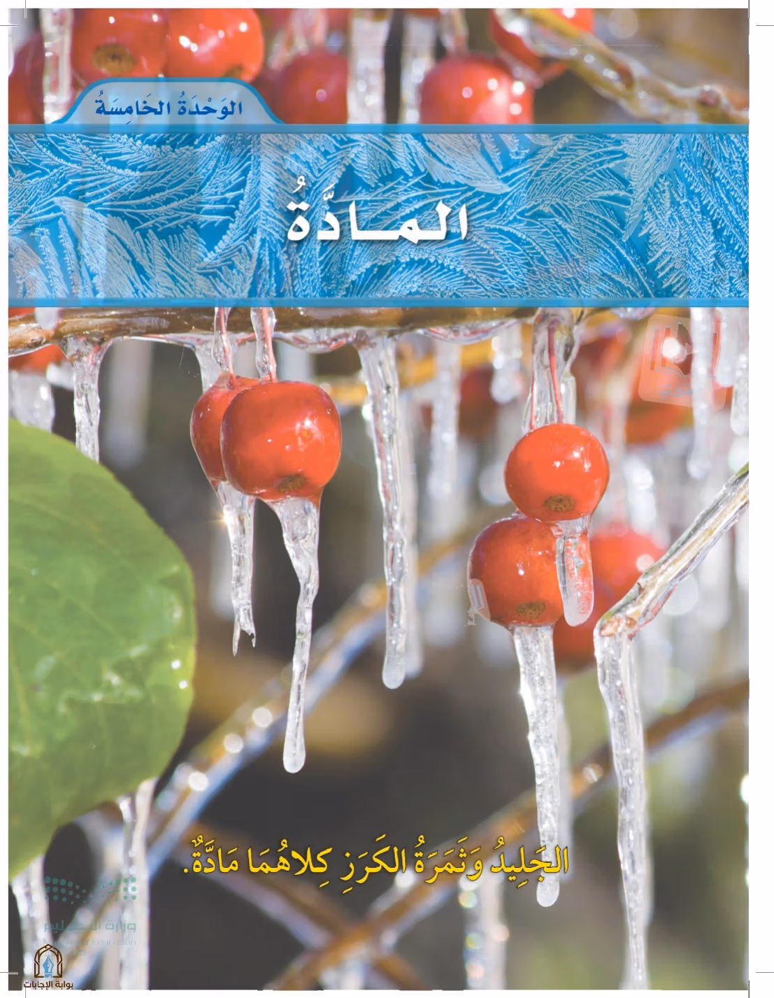 صفحة 29