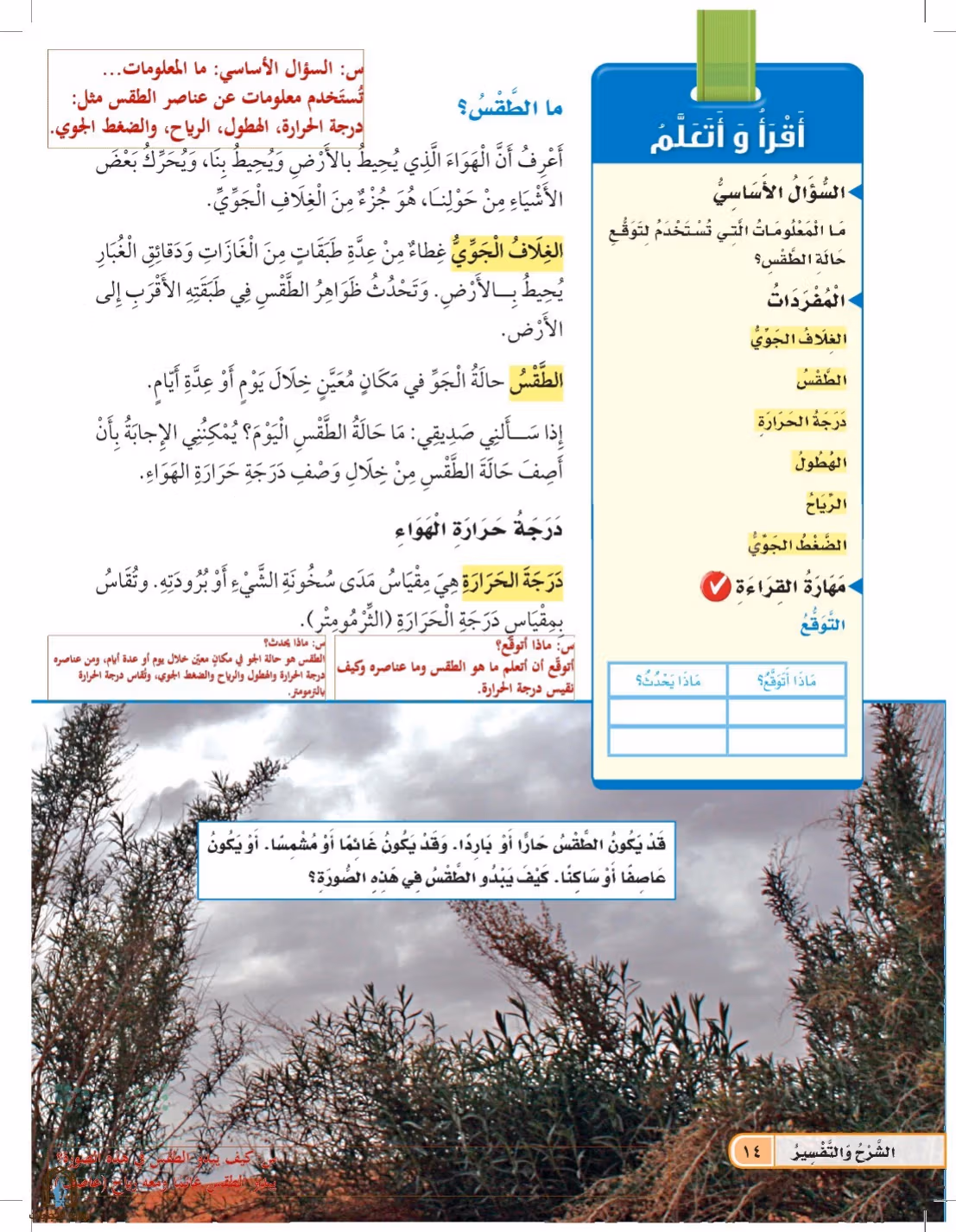 صفحة 14