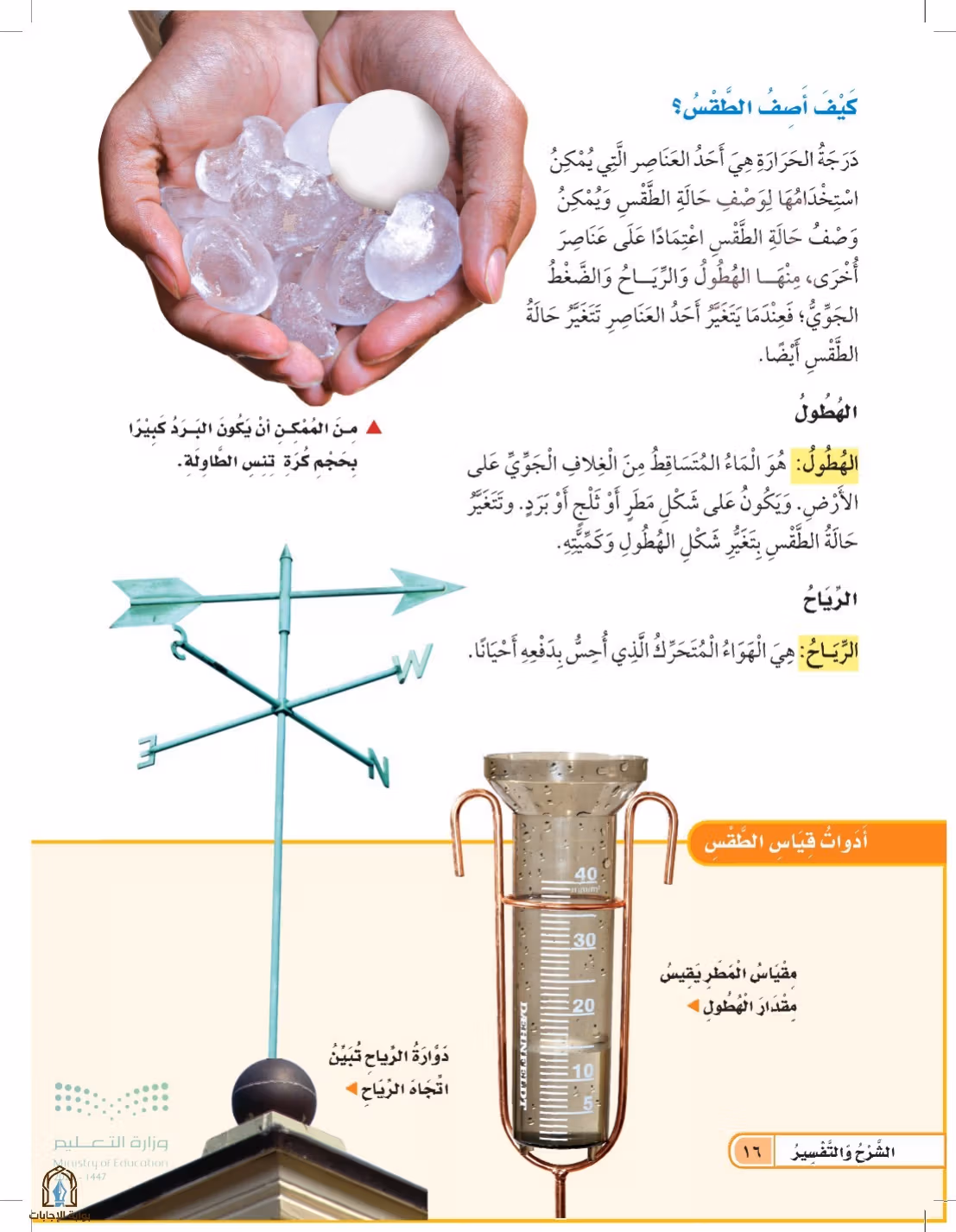 صفحة 16