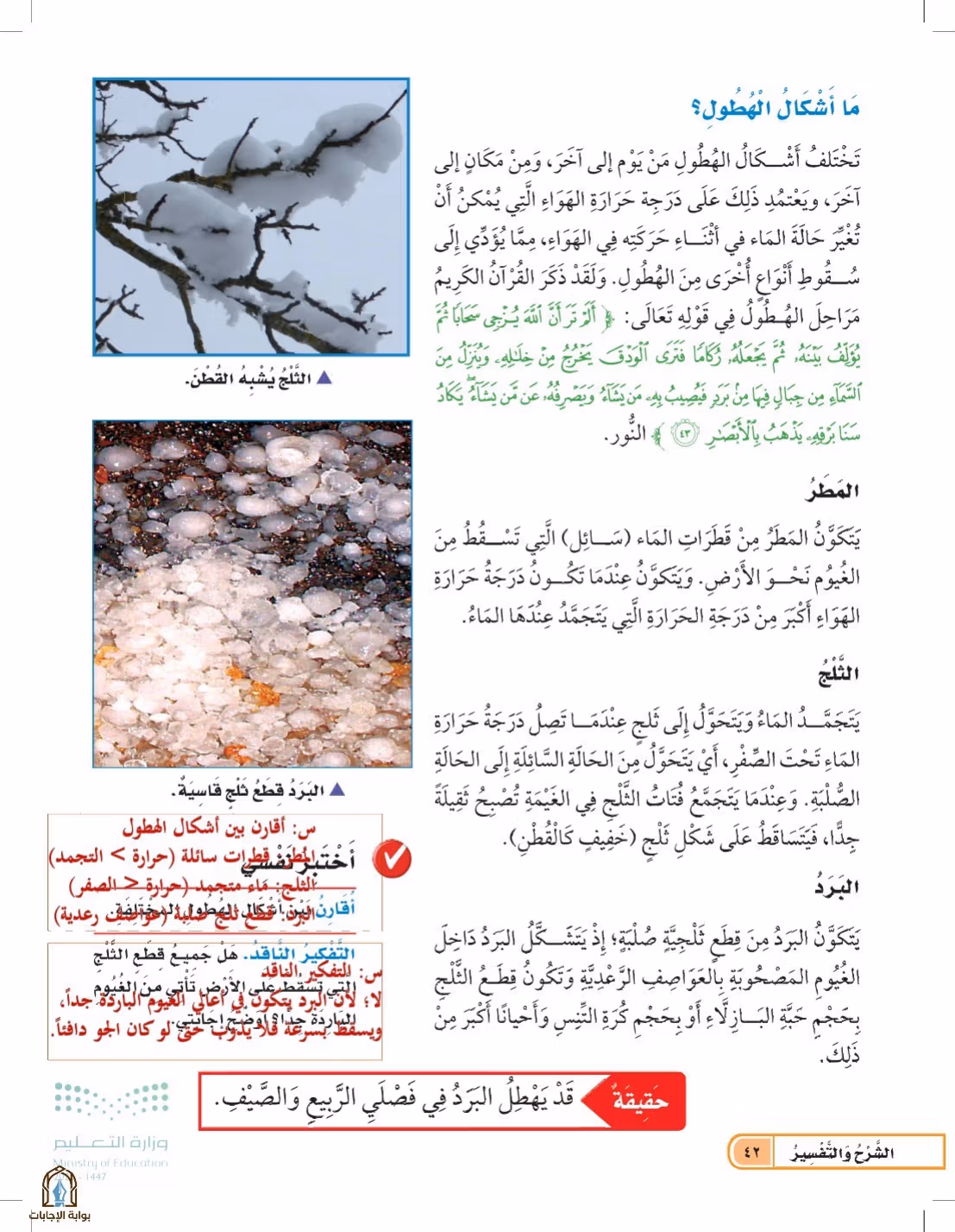 صفحة 42