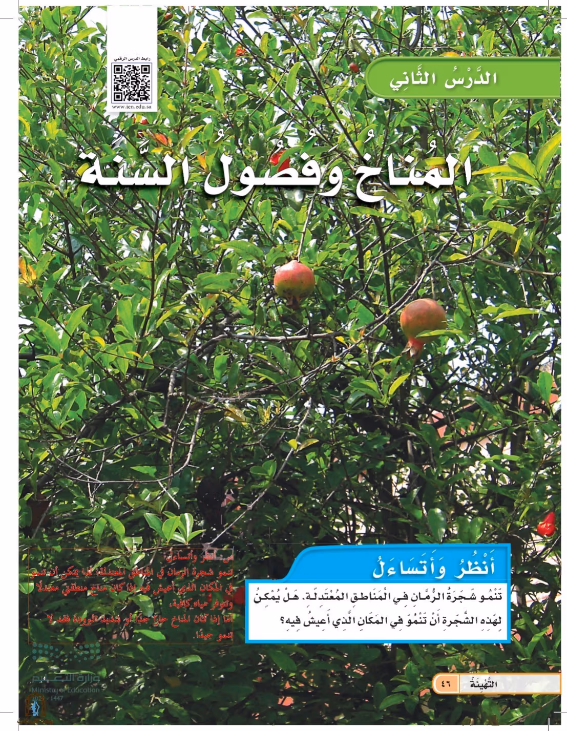 صفحة 46