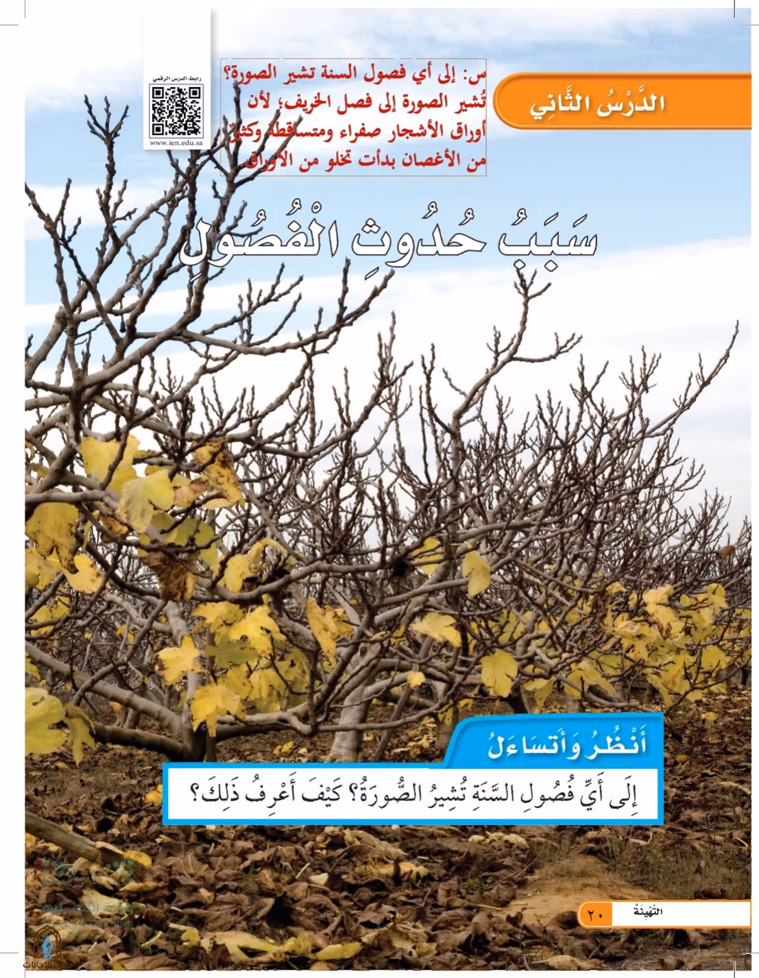 صفحة 20