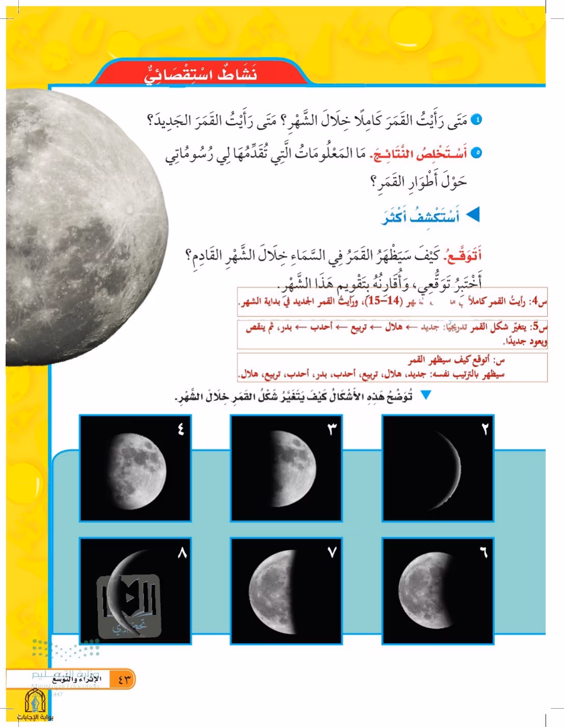 صفحة 43
