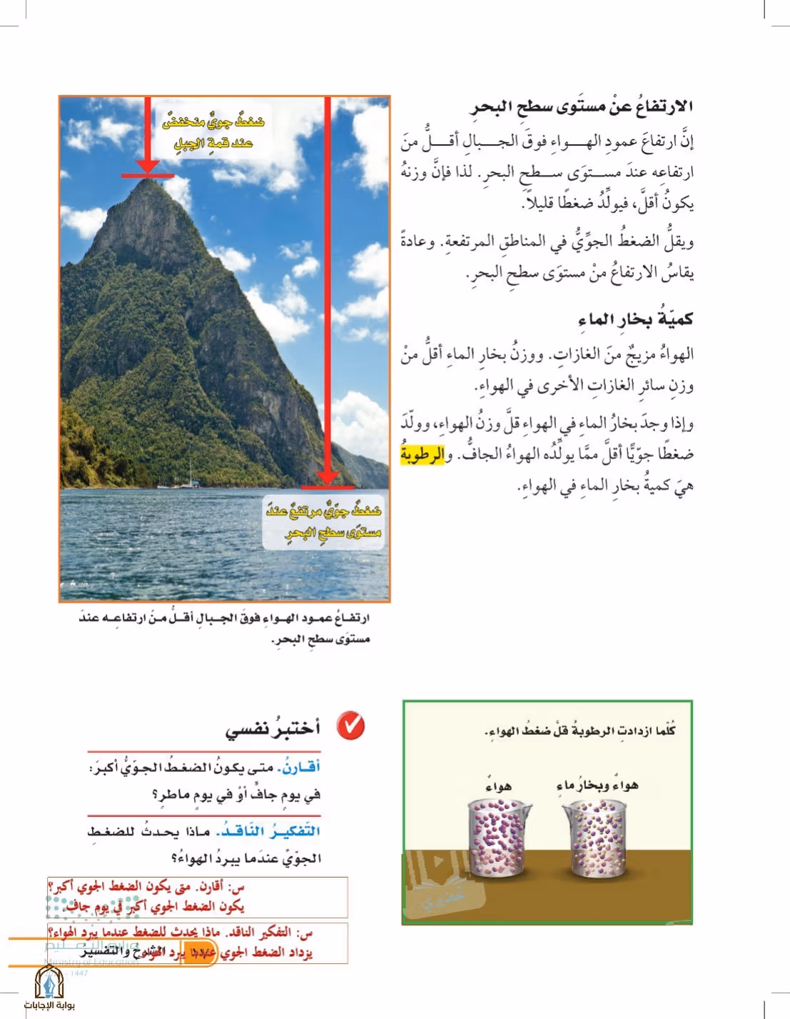 صفحة 17