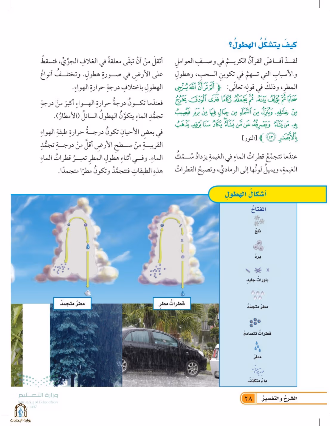 صفحة 28