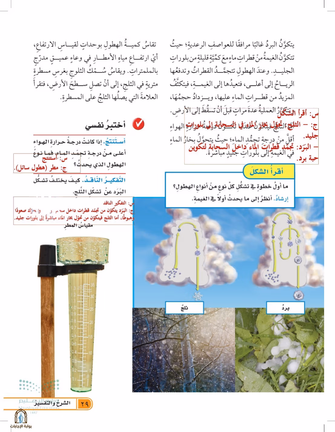 صفحة 29
