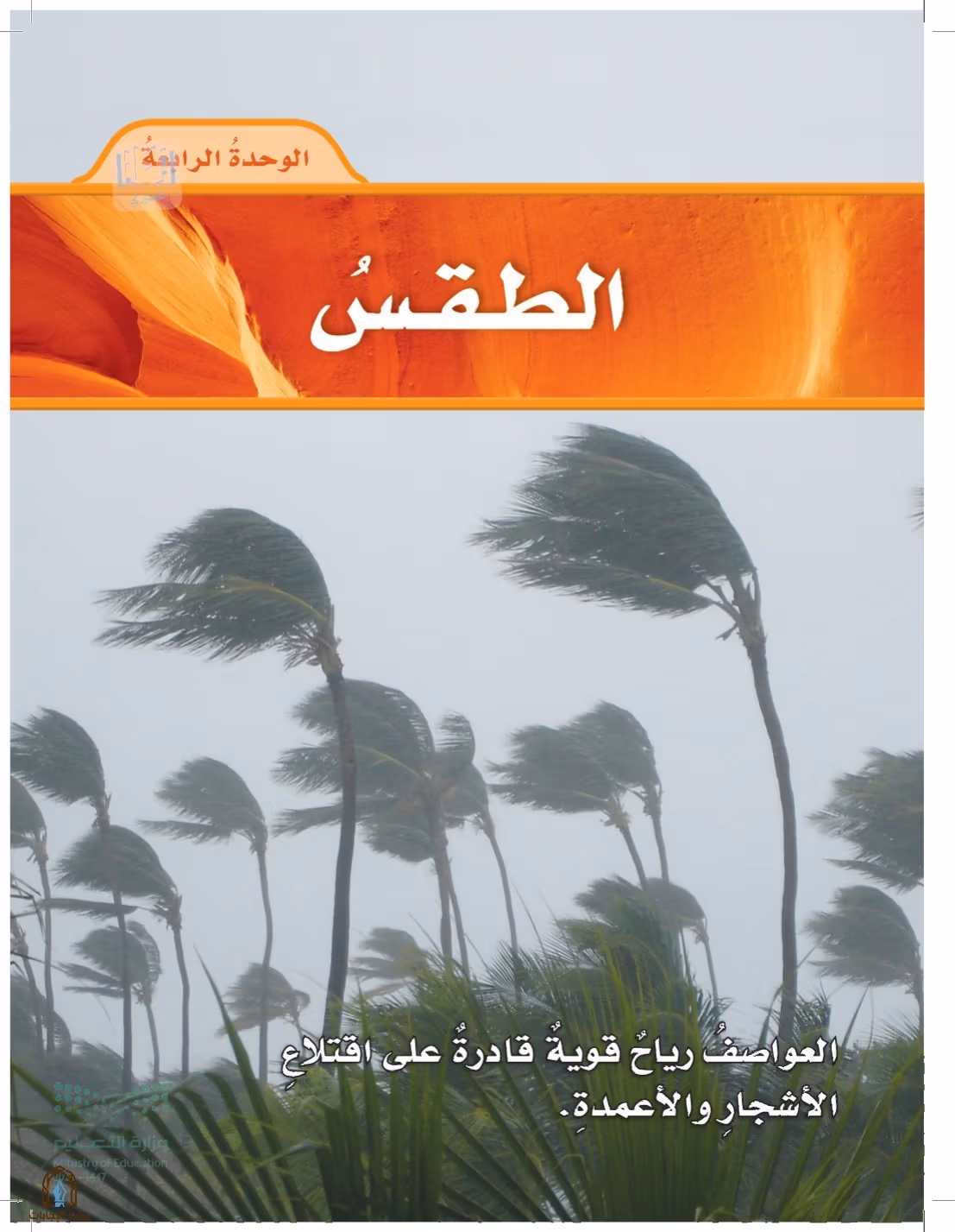 صفحة 7
