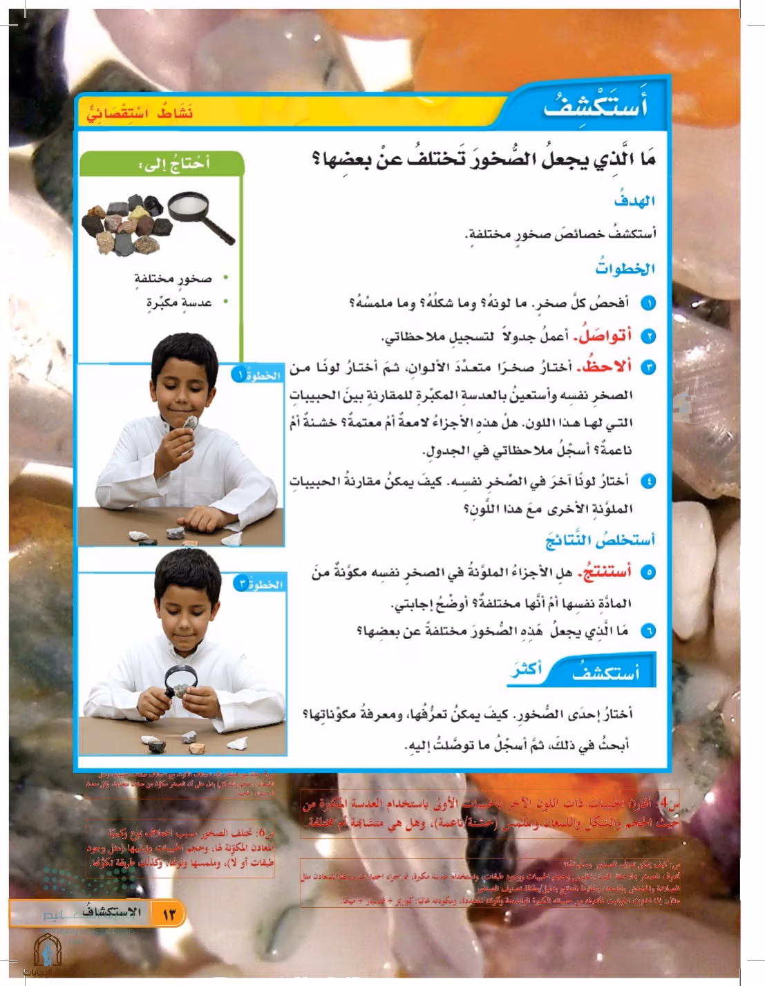 صفحة 13