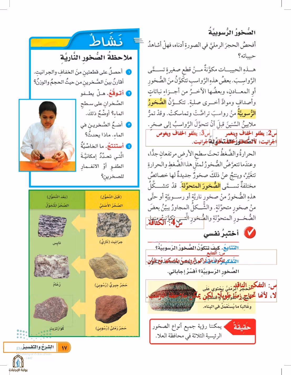 صفحة 17
