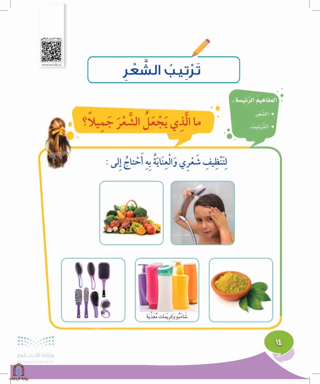 صفحة 14