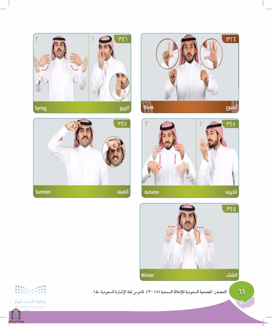 صفحة 66