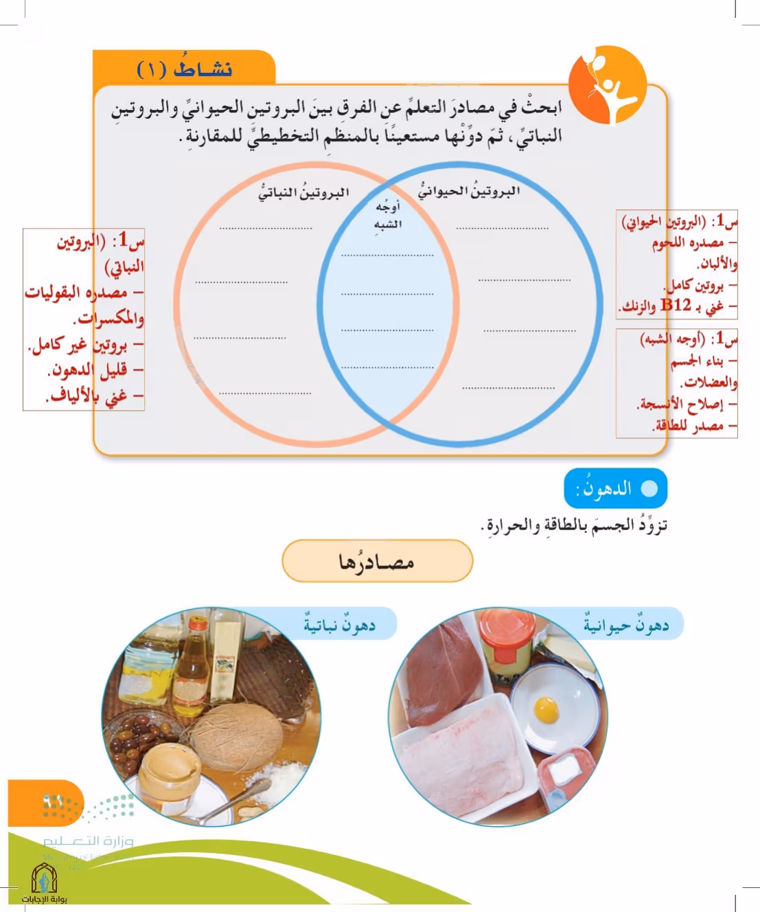 صفحة 91