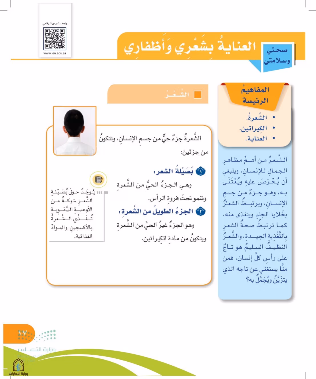 صفحة 17
