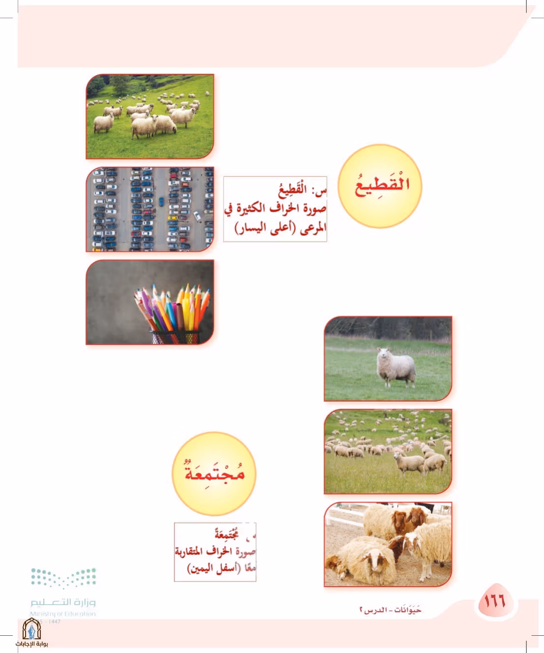 صفحة 166