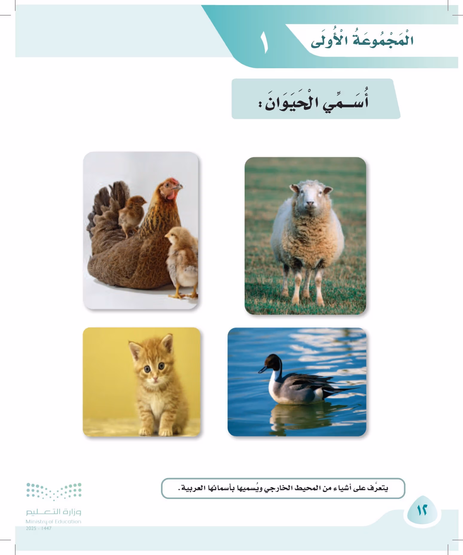 صفحة 12