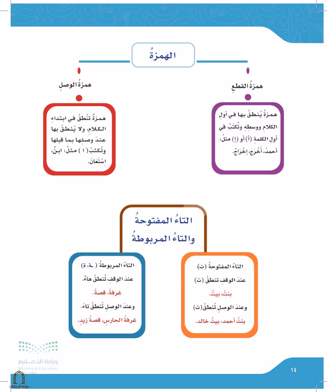 صفحة 14