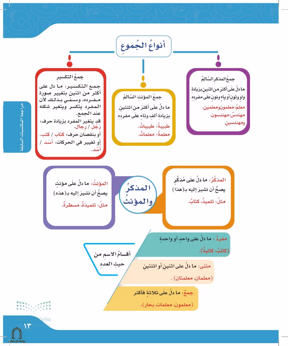 صفحة 13