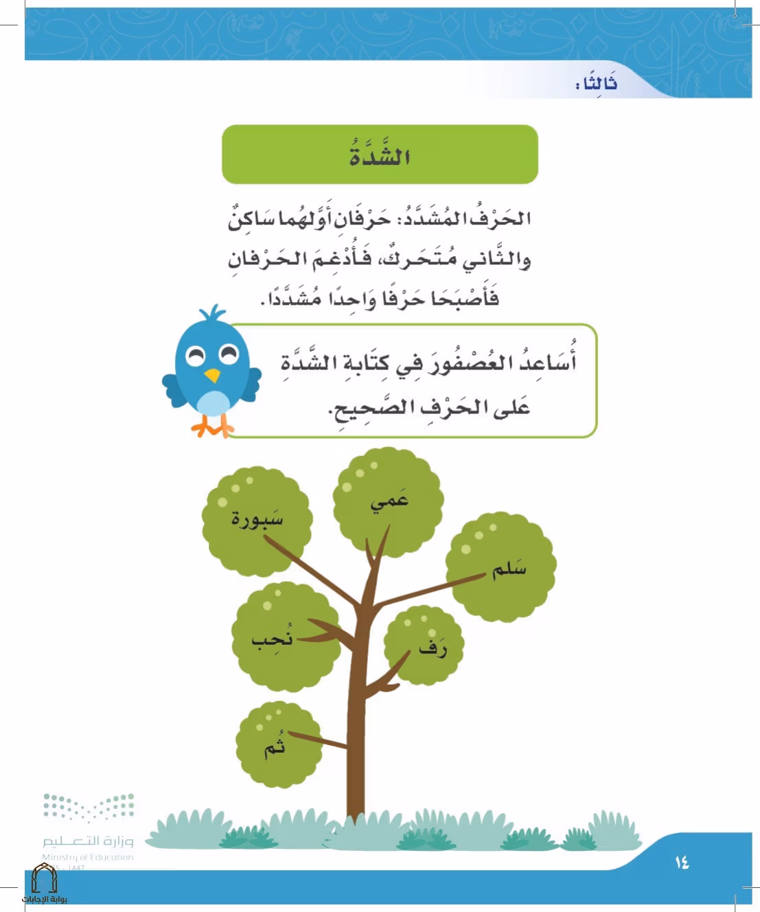 صفحة 14
