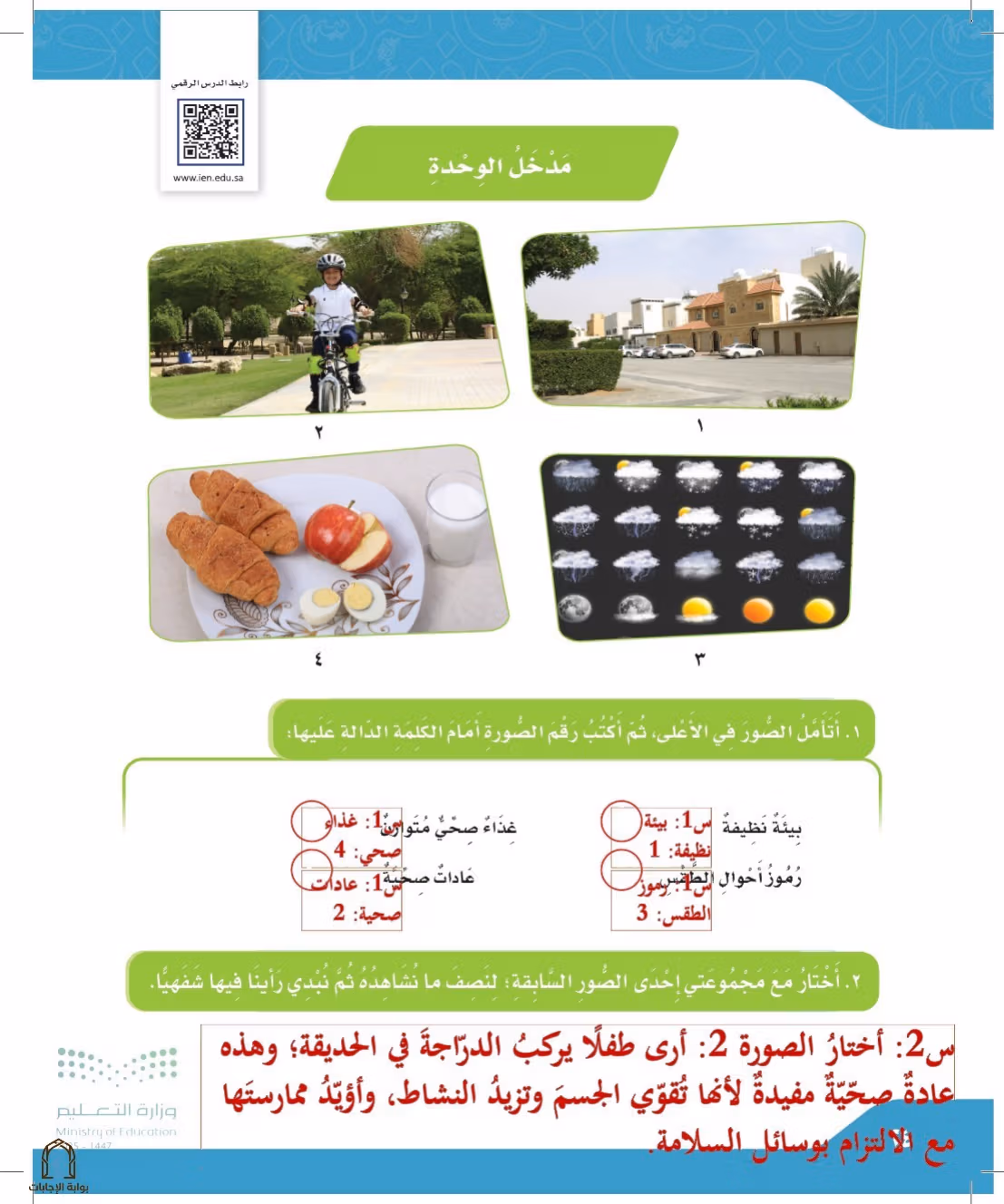 صفحة 24