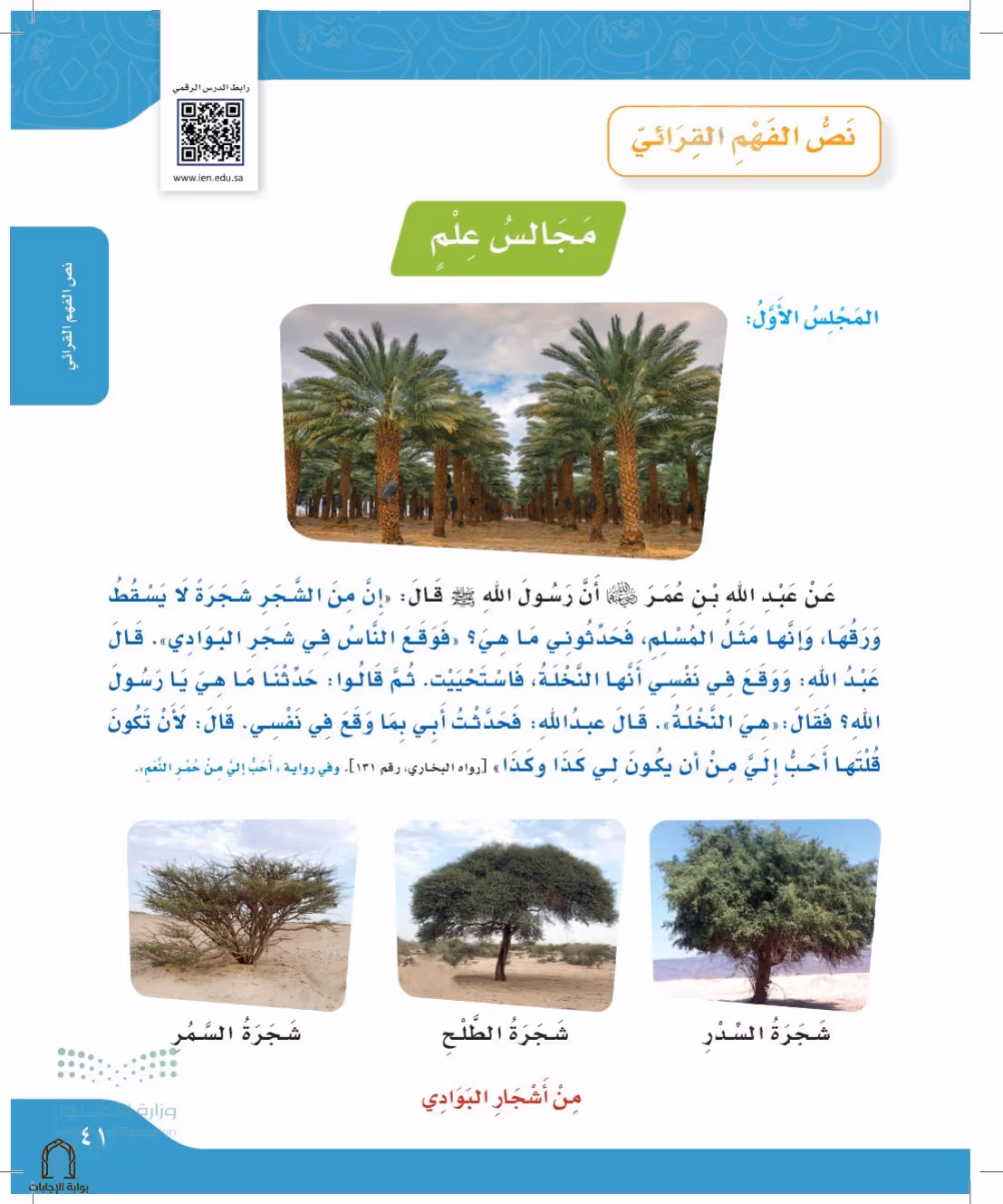 صفحة 41