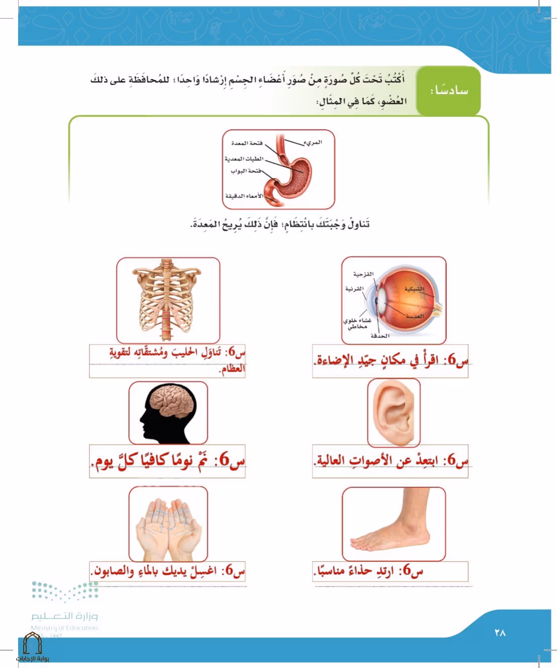 صفحة 28