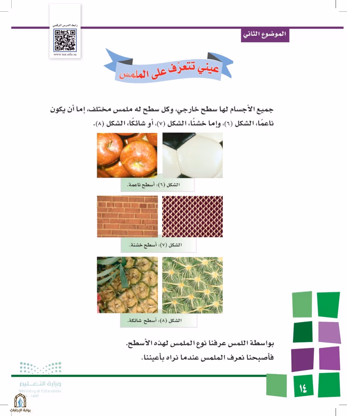 صفحة 14