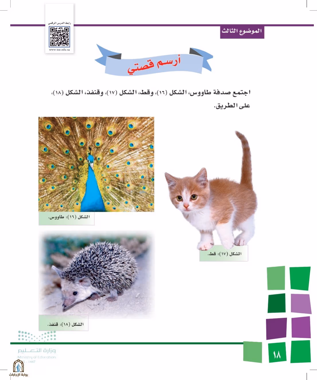 صفحة 18