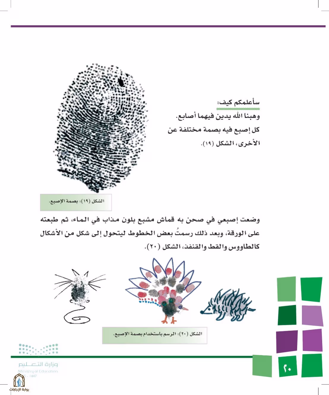 صفحة 20
